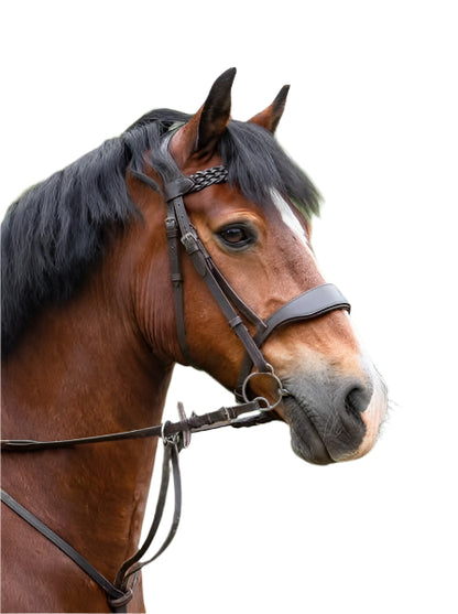 Hunter Bridle with Braided Browband – Black or Brown
