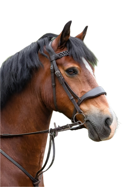 Hunter Bridle with Braided Browband – Black or Brown