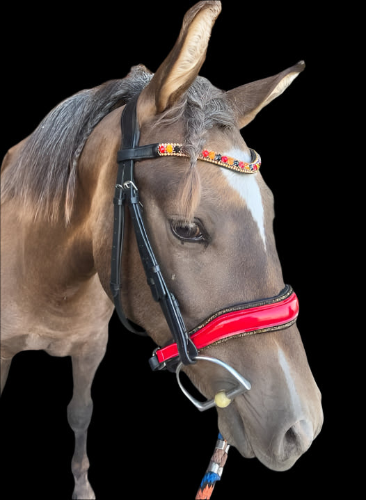 Bling Red & Black Leather Bridle with Reins | Wholesale
