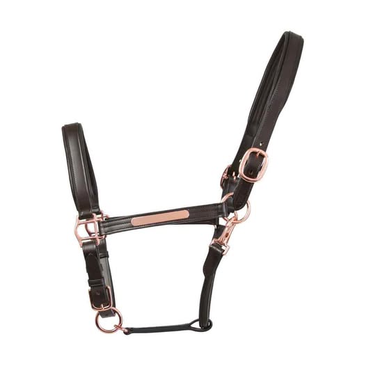 Equestrian Leather Head Collar – Padded & Adjustable with Gold Cheekpiece Detail