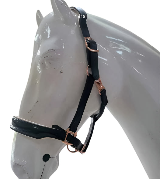 Black Patent Leather Headcollar with Rose Gold Piping