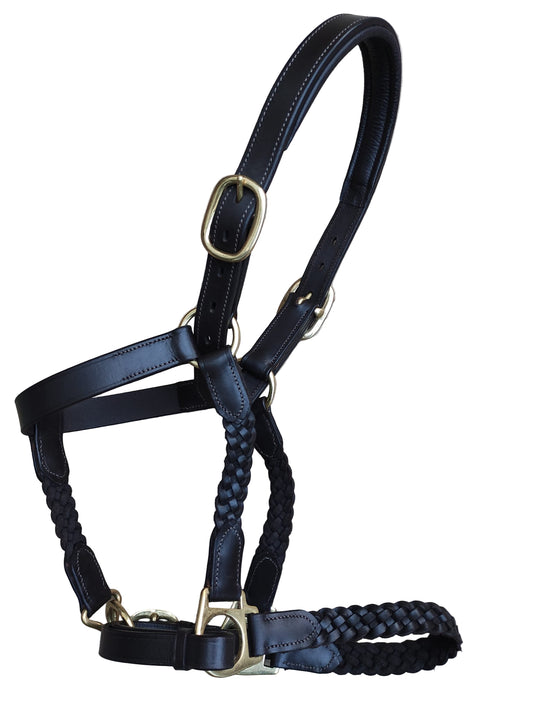 Wholesale Plaited Padded Leather Headcollar – Soft, Adjustable & Durable