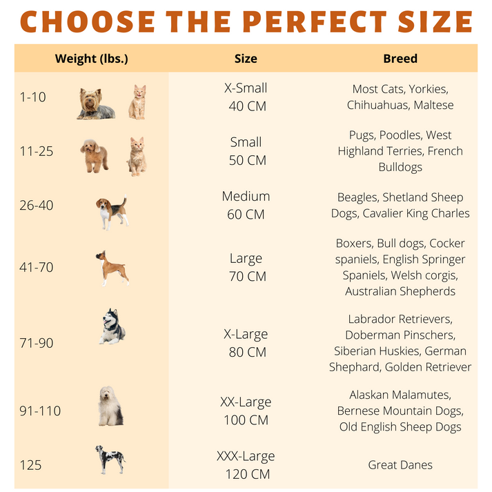 Donut dog bed size chart with weights, sizes, and recommended breeds