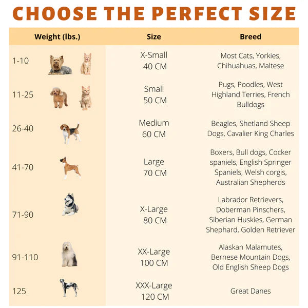 Donut Dog Bed Size Chart