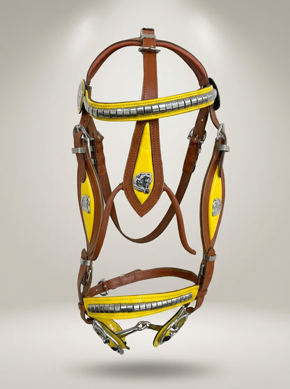 Yellow & Tan Show Bridle with Matching Lead Rope Set