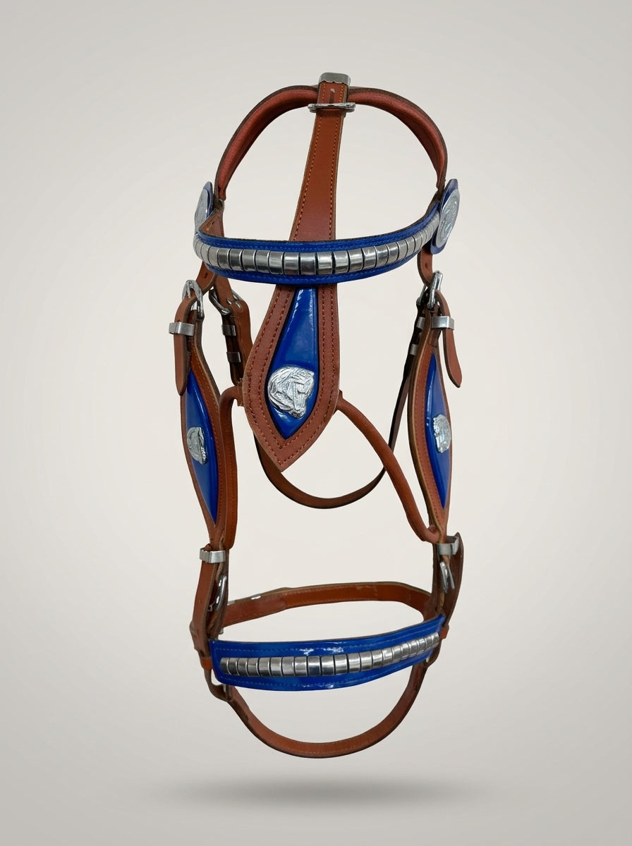 Tan & Blue Heavy Show Bridle with Matching Braided Lead Rope Set