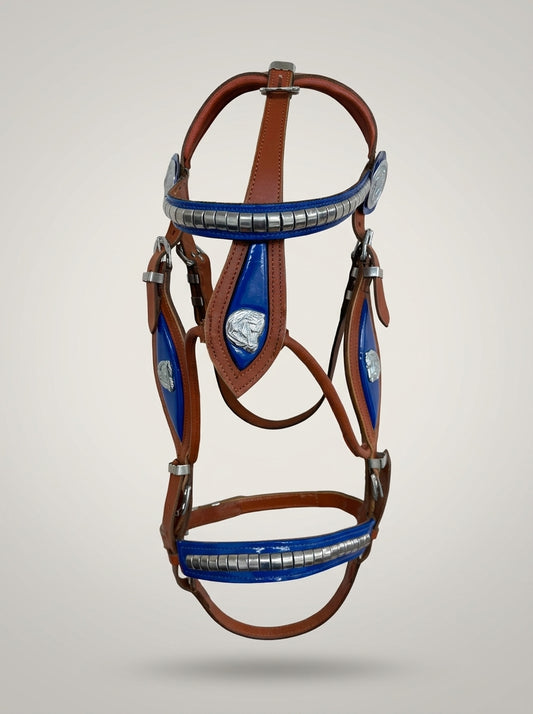 Tan & Blue Heavy Show Bridle with Matching Braided Lead Rope Set