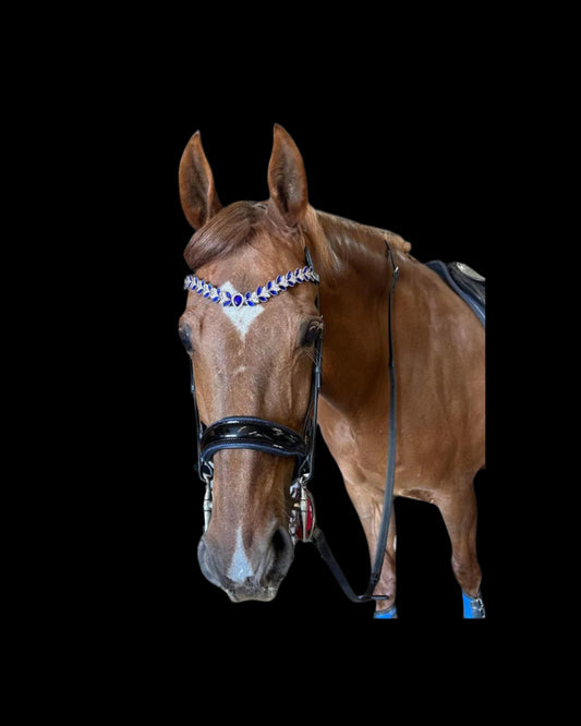 Monocrown Tiara Bridle – Patent Black Leather with Blue Browband | B2B Wholesale