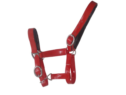 Padded Biothane Head Collar – Red | Waterproof, Padded & Durable | Wholesale