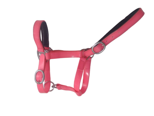 Padded Biothane Head Collar – Pink | Waterproof, Padded & Durable | Wholesale