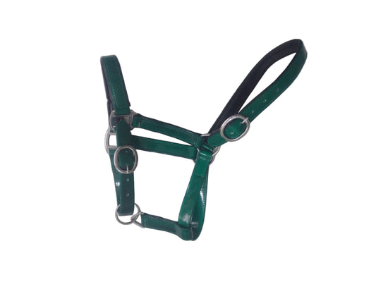 Padded Biothane Head Collar – Green | Waterproof, Padded & Durable | Wholesale