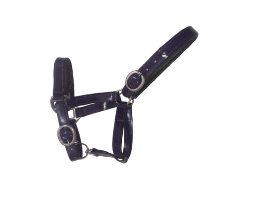 Padded Biothane Head Collar – Royal Blue | Waterproof, Padded & Durable | Wholesale