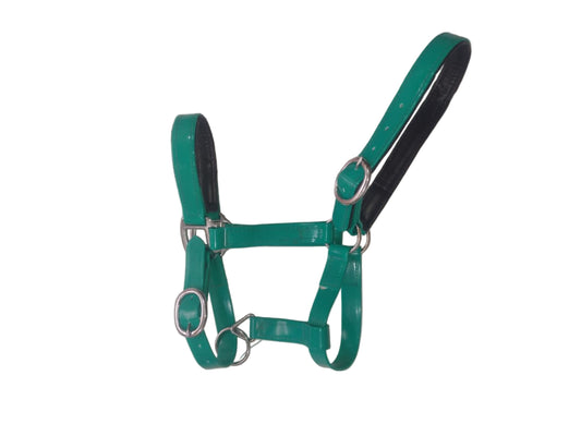 Padded Biothane Head Collar – Sea Green | Waterproof, Padded & Durable | Wholesale