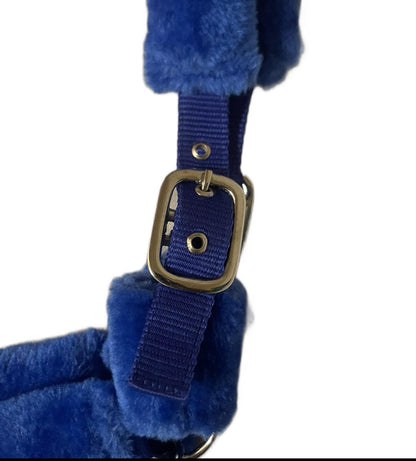 Blue Fur Head Collar | Wholesale Adjustable & Padded Design