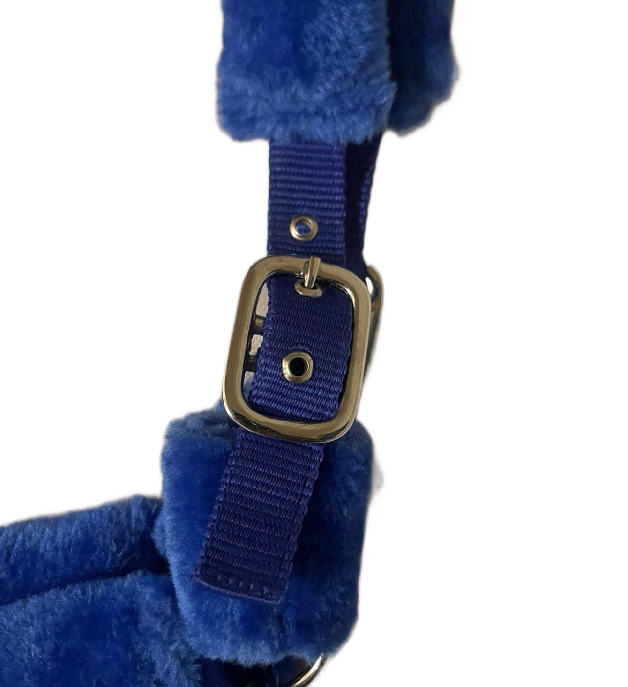 Blue Fur Head Collar | Wholesale Adjustable & Padded Design