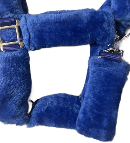 Blue Fur Head Collar | Wholesale Adjustable & Padded Design