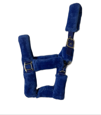 Blue Fur Head Collar | Wholesale Adjustable & Padded Design