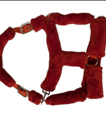 Red Fur Head Collar | Wholesale Adjustable & Padded Design