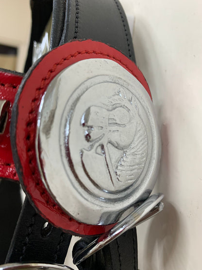 Heavy Show Bridle with Brass Clinchers, Bit & Matching Braided Lead – Black with Red Padding