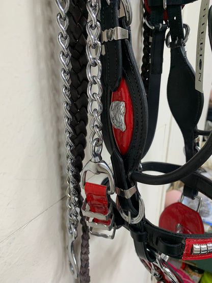 Heavy Show Bridle with Brass Clinchers, Bit & Matching Braided Lead – Black with Red Padding
