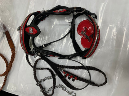 Heavy Show Bridle with Brass Clinchers, Bit & Matching Braided Lead – Black with Red Padding