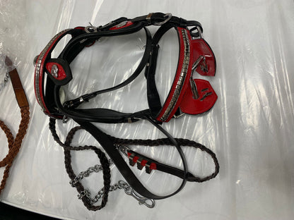 Heavy Show Bridle with Brass Clinchers, Bit & Matching Braided Lead – Black with Red Padding