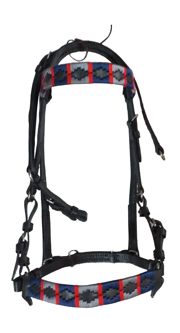 Horse bridle with a decorative strap on a tiled floor