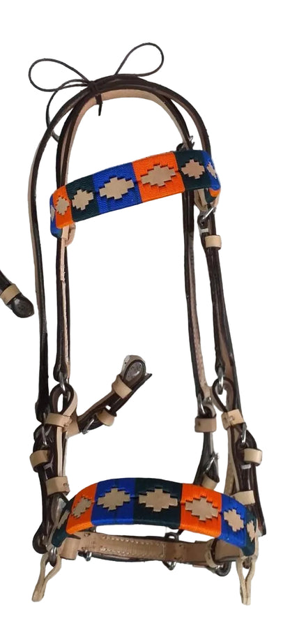 Horse bridle with colorful pattern on a tiled floor