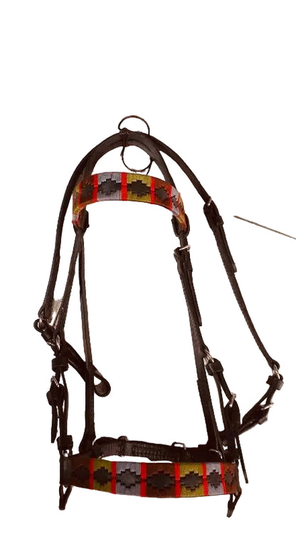 Horse bridle with colorful pattern on a tiled floor