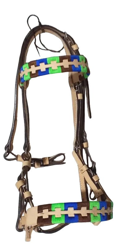Horse bridle with colorful pattern on a tiled floor