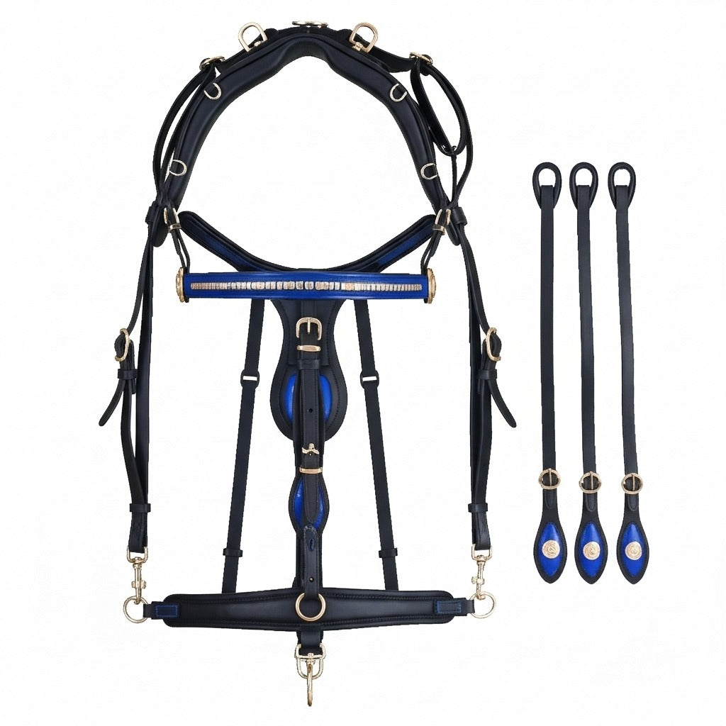 High-Quality Biothane Driving Harness – Blue & Black with Studded Clincher Blinkers