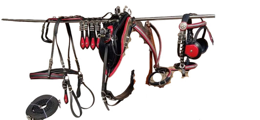 Horse tack including a bridle and reins on a chair in an indoor setting.