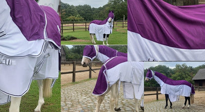 Premium Horse Fly Rug Combo with Fixed Neck & Fly Mask – Anti-Rub Mesh Summer Sheet