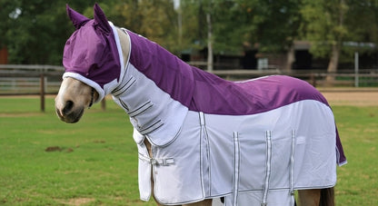 Premium Horse Fly Rug Combo with Fixed Neck & Fly Mask – Anti-Rub Mesh Summer Sheet