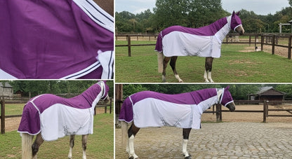 Premium Horse Fly Rug Combo with Fixed Neck & Fly Mask – Anti-Rub Mesh Summer Sheet