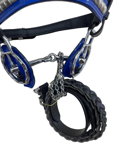 Black & Blue Heavy Show Bridle with Matching Braided Lead Rope Set