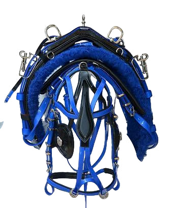 PVC Biothane Tie Down Driving Harness – Blue/Black | Wholesale