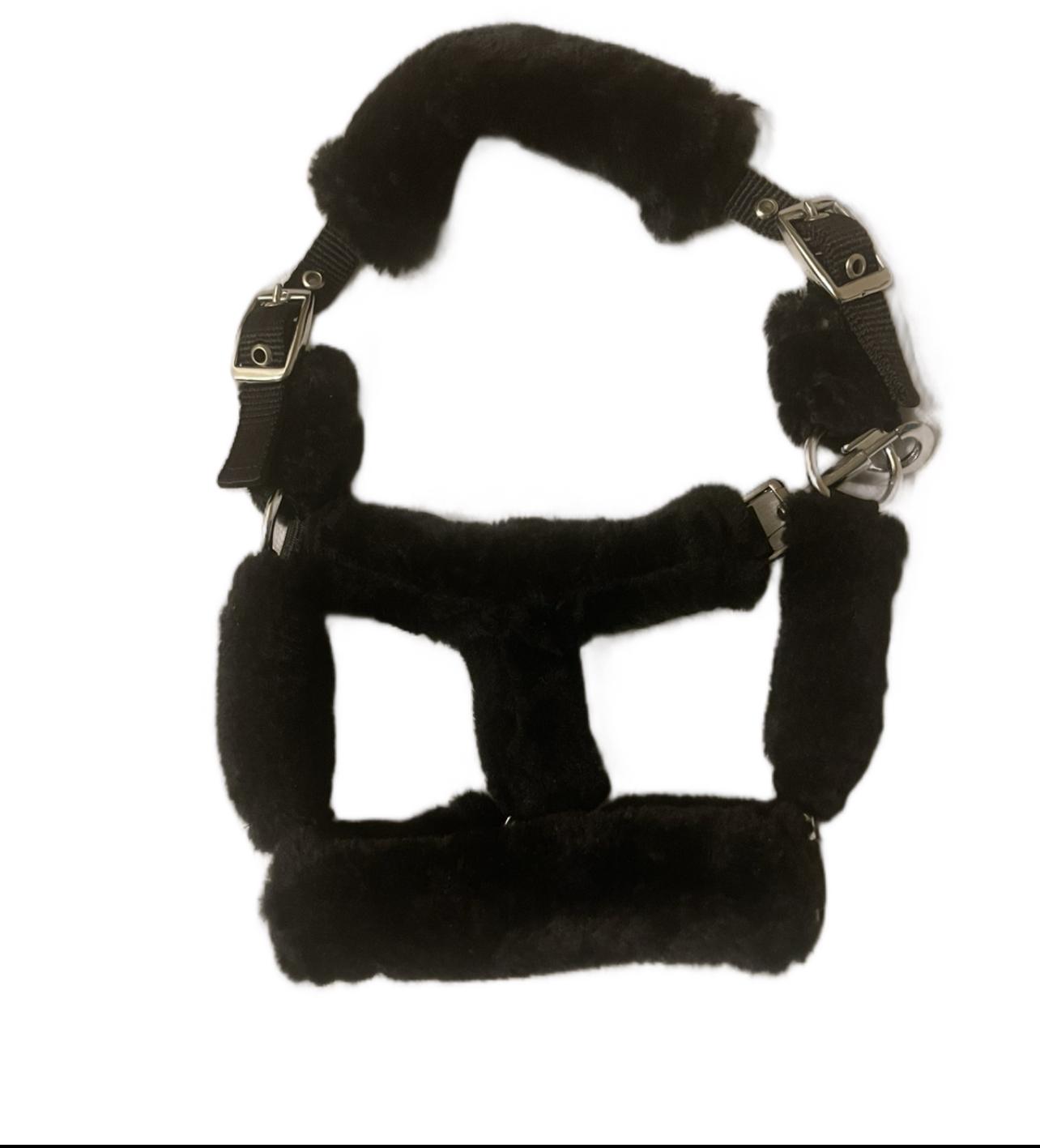 Black Fur Head Collar | Wholesale Adjustable & Padded Design