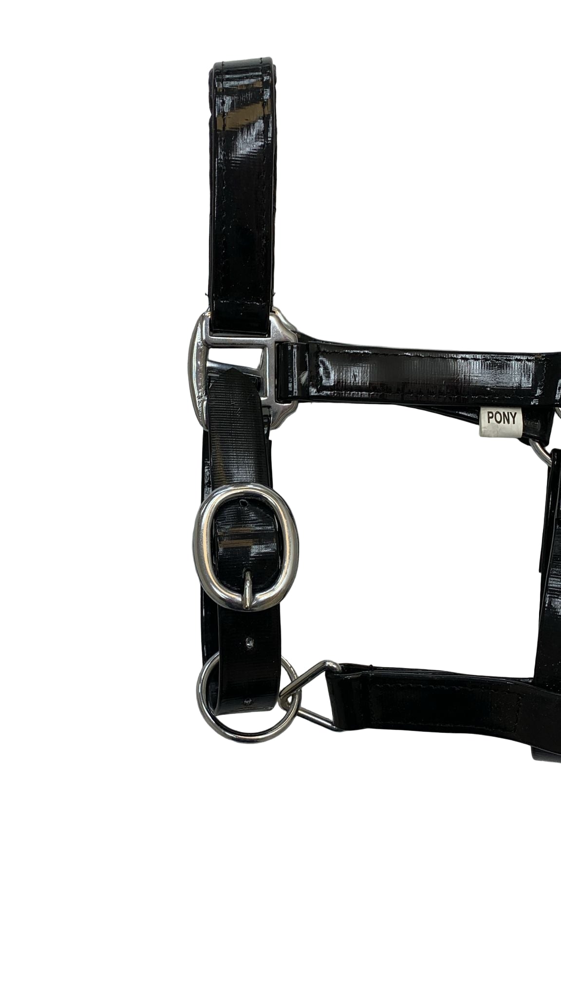 Padded Biothane Head Collar – Black | Waterproof, Padded & Durable | Wholesale