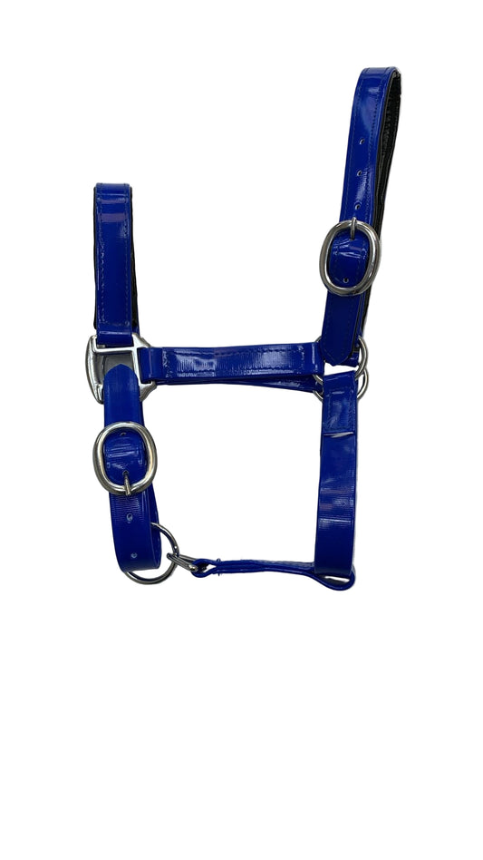 Padded Biothane Head Collar – Blue | Waterproof, Padded & Durable | Wholesale