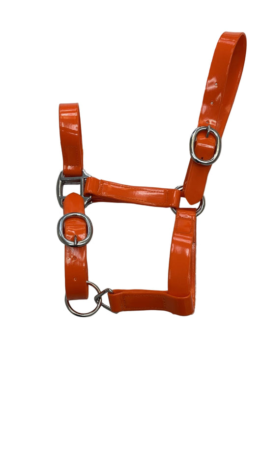 Padded Biothane Head Collar – Orange | Waterproof, Padded & Durable | Wholesale