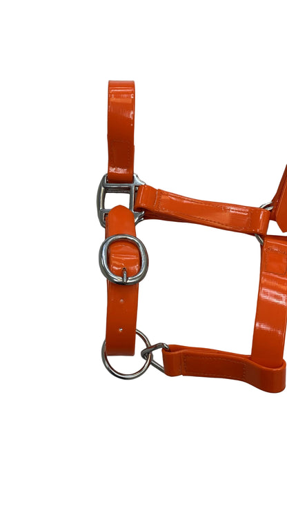 Padded Biothane Head Collar – Orange | Waterproof, Padded & Durable | Wholesale