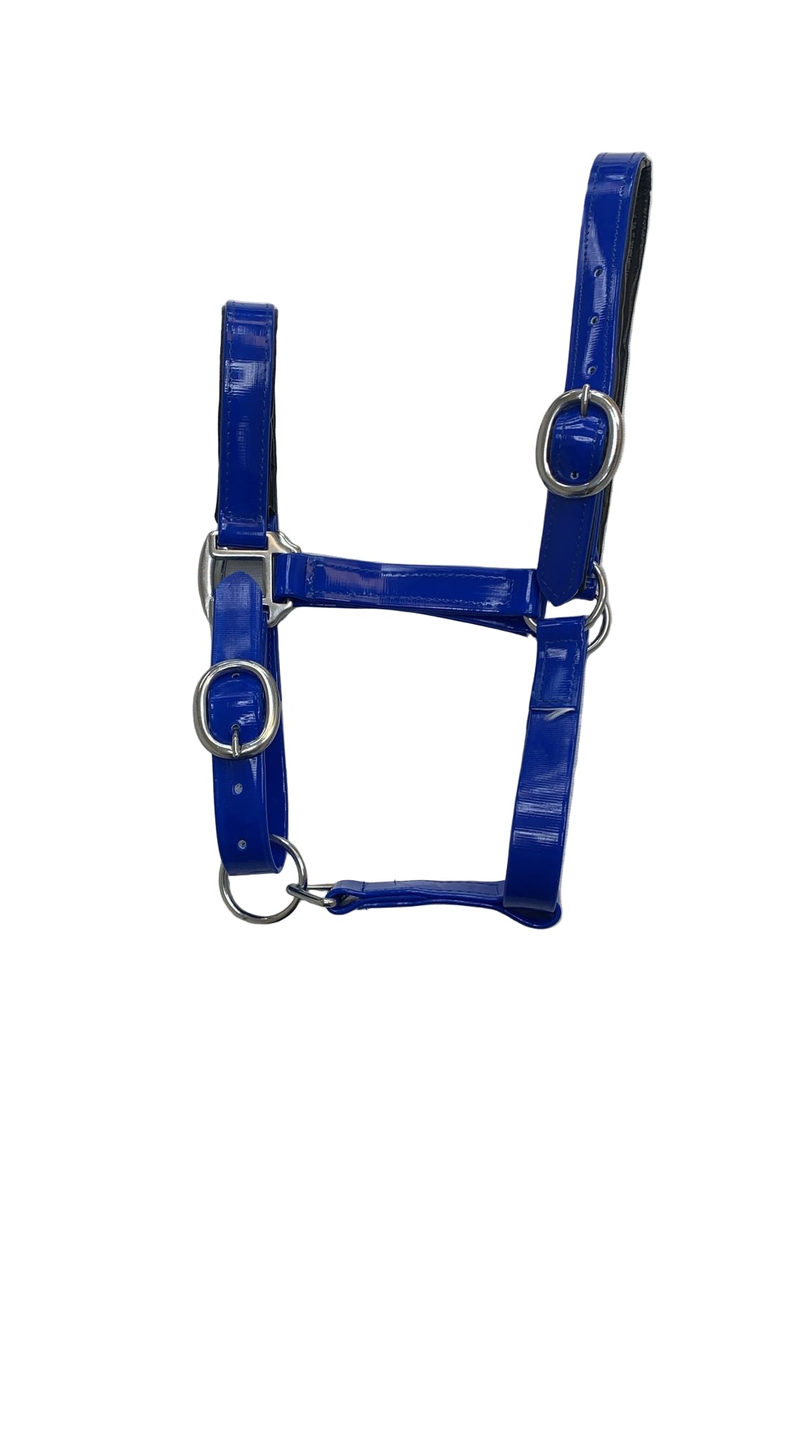 Padded Biothane Head Collar – Blue | Waterproof, Padded & Durable | Wholesale