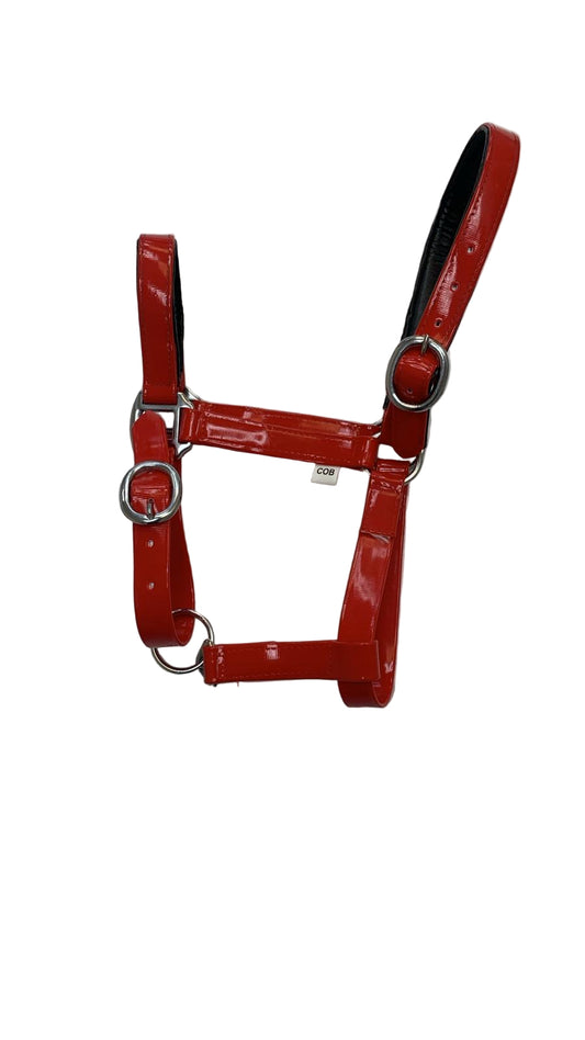 Padded Biothane Head Collar – Red | Waterproof, Padded & Durable | Wholesale