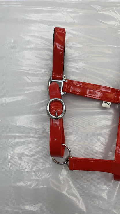Padded Biothane Head Collar – Red | Waterproof, Padded & Durable | Wholesale