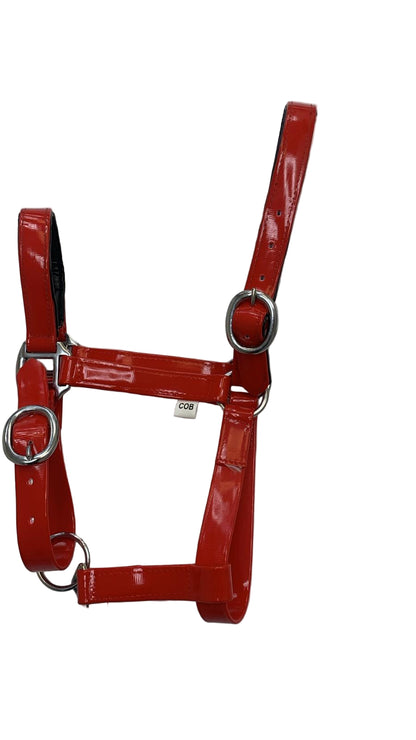 Padded Biothane Head Collar – Red | Waterproof, Padded & Durable | Wholesale