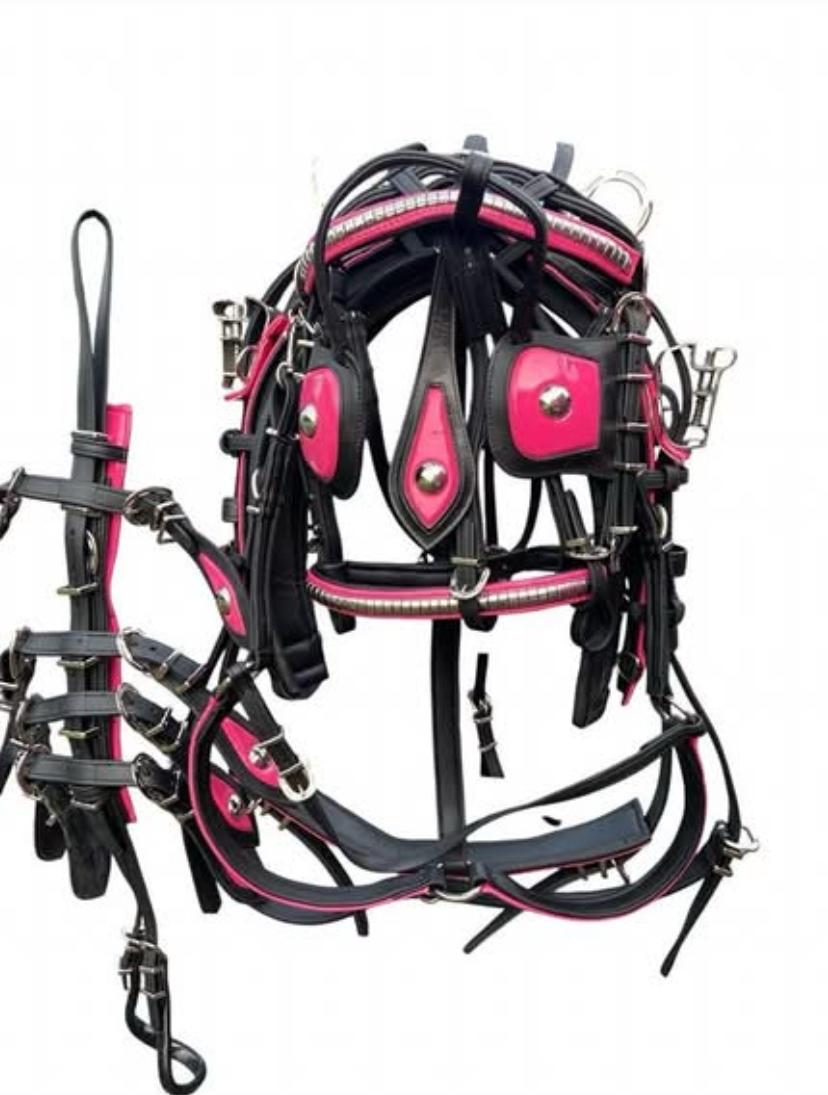 Quick Hitch Biothane Driving Harness with Waterproof Waffle Pad – Made to Order