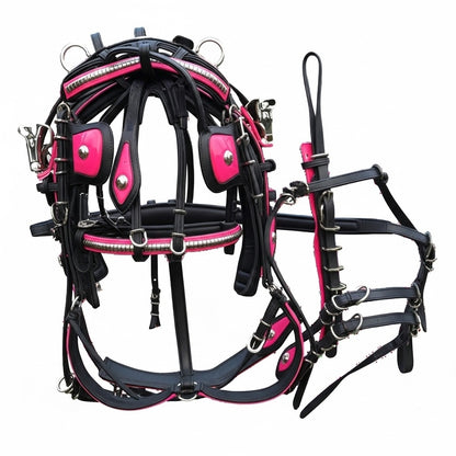 Quick Hitch Biothane Driving Harness with Waterproof Waffle Pad – Made to Order