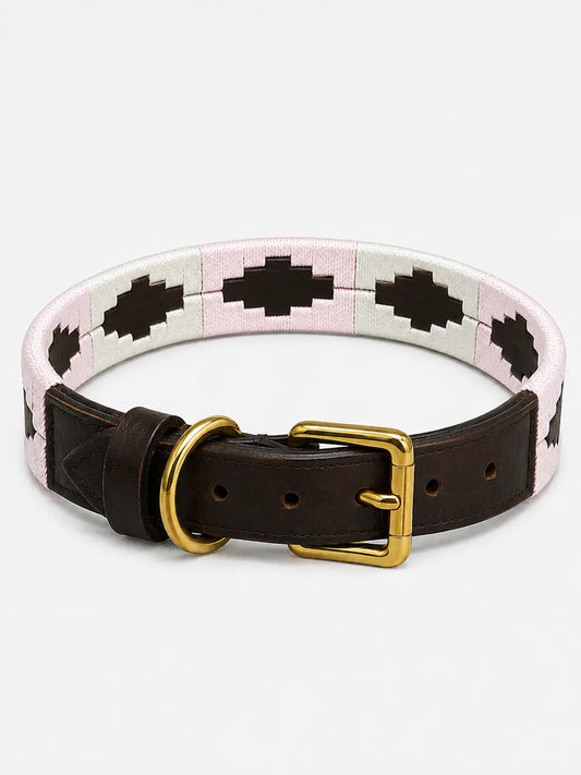 Cream & Black Belt Argentinian Polo Dog Collar & Lead Set