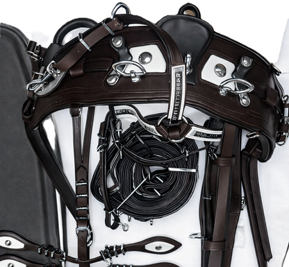 Brown leather bridle with metal hardware on a white background